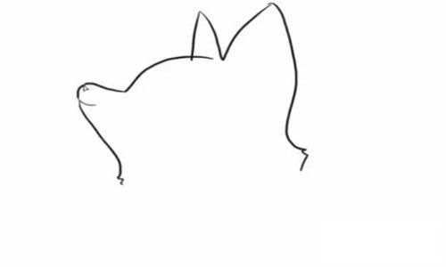 可爱的小狐狸简笔画