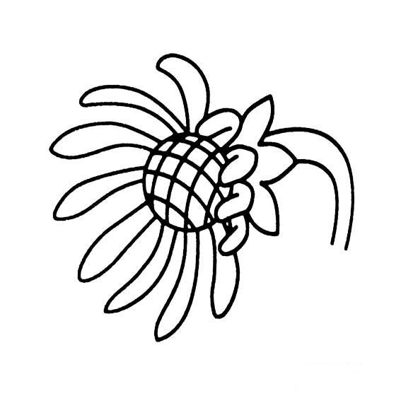 向日葵花的画法儿童学画画