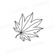 红枫树的叶子简笔画