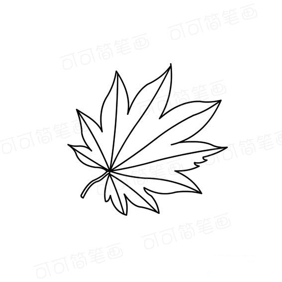 红枫树的叶子简笔画