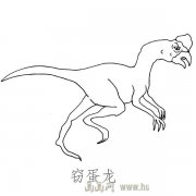儿童简笔画恐龙:窃蛋龙