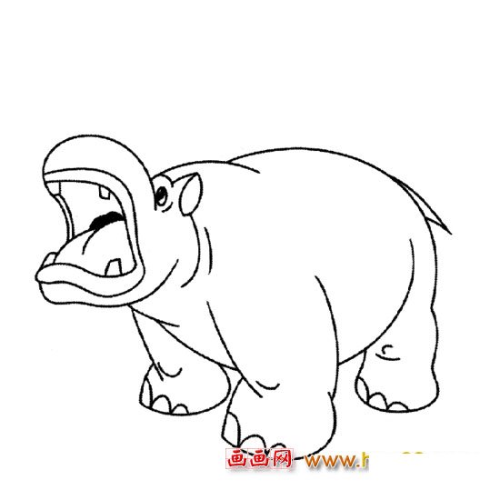 河马【动物简笔画】1