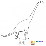 儿童简笔画图片：高大的腕龙