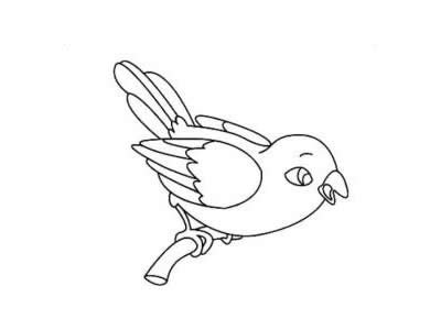 布谷鸟简笔画