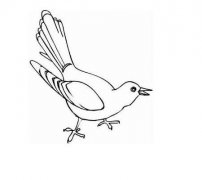 3款布谷鸟简笔画图片