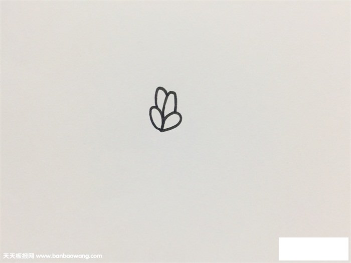 薰草怎么画