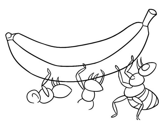 蚂蚁抬香蕉简笔画步骤图解