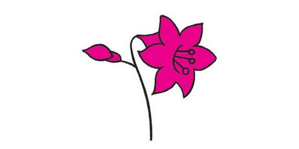 百合简笔画图片