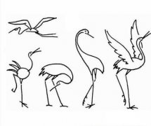 几款仙鹤简笔画图片