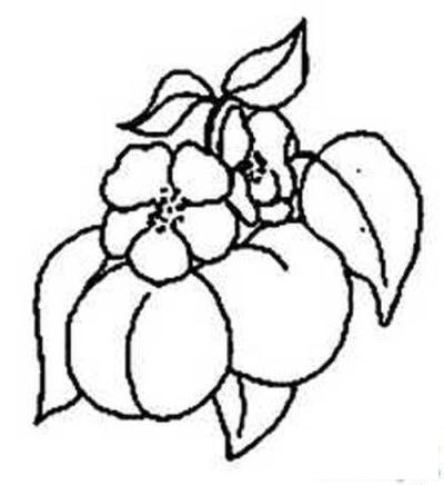 树上的桃子简笔画图片大全