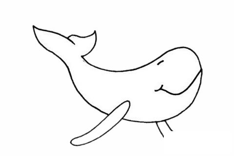 鲸简笔画图片大全作品五