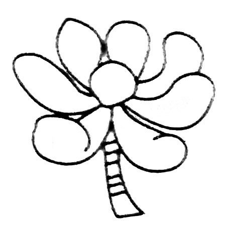 多肉植物简笔画大全及画法步骤