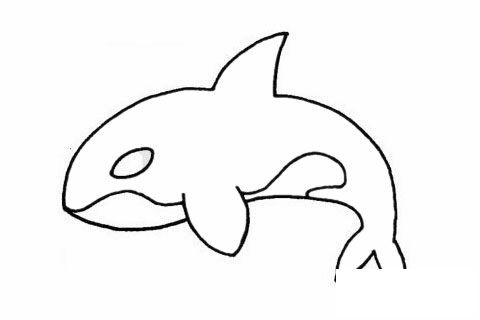 鲸简笔画图片大全作品二