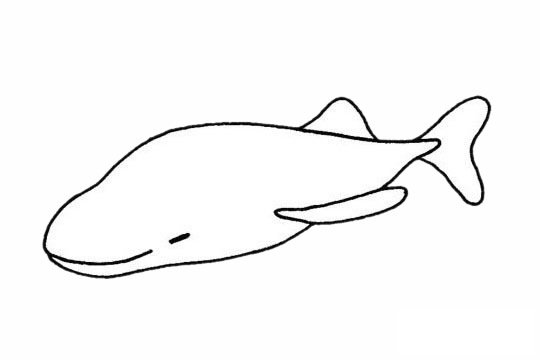 鲸简笔画图片大全作品一