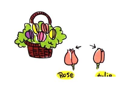 四步画出郁金香简笔画图片