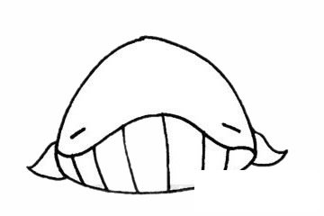 鲸简笔画图片