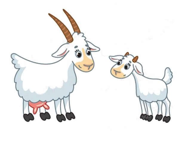山羊绵羊简笔画