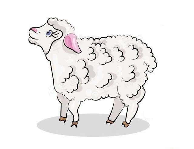 山羊绵羊简笔画