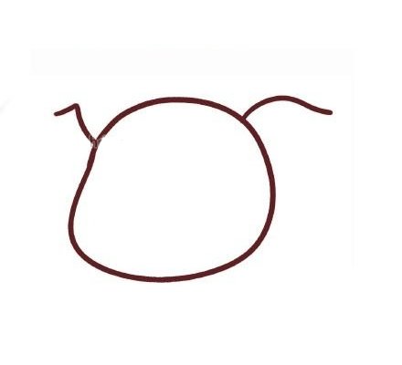 小猪简笔画教程