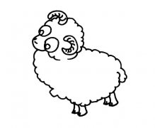 高傲的可爱绵羊简笔画图片