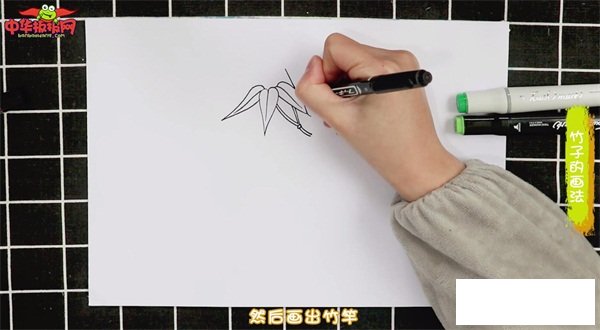 竹子的画法