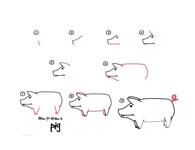 幼儿学画猪的简笔画步骤图解教程 猪的画法