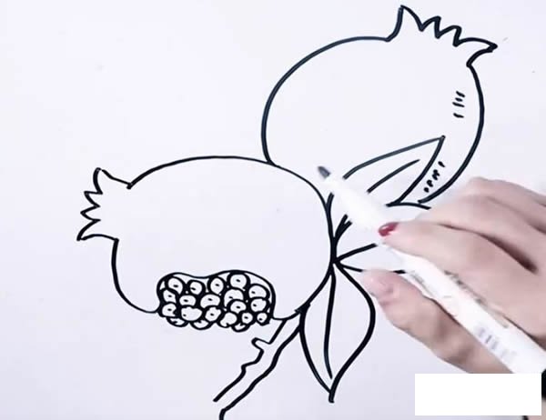 石榴简笔画图片