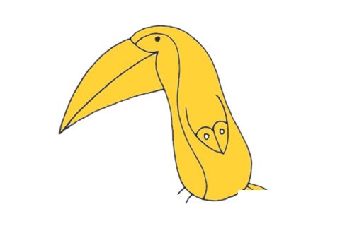 巨嘴鸟简笔画图片大全作品四