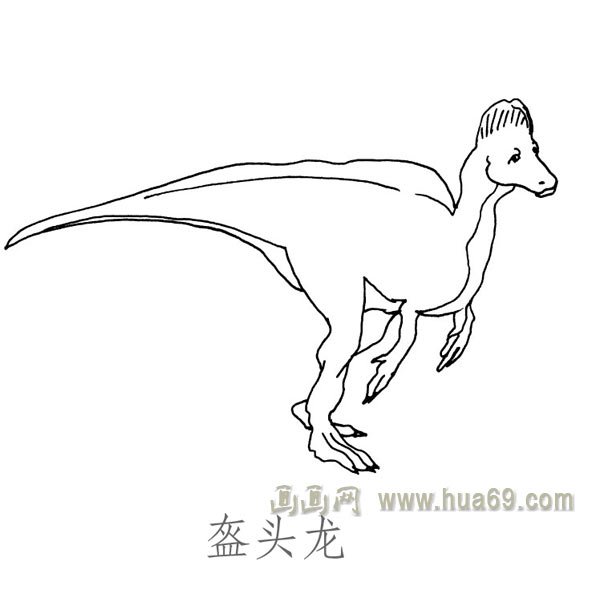 儿童简笔画恐龙：盔头龙