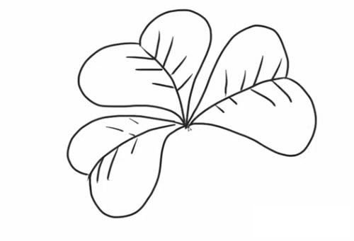 四叶草简笔画步骤教程