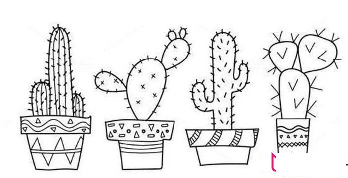 仙人掌盆栽简笔画