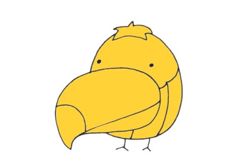 巨嘴鸟简笔画图片大全作品二