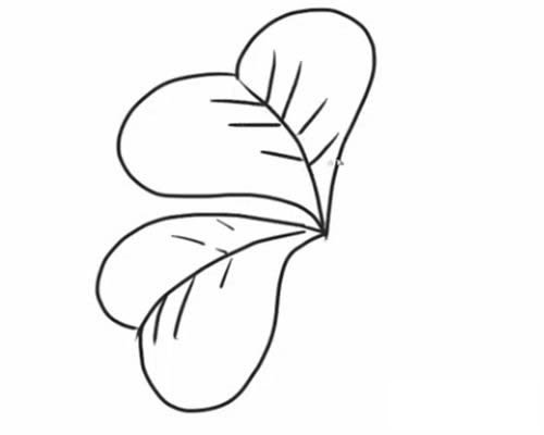 四叶草简笔画步骤教程