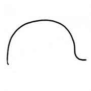 幼儿学鲸鱼简笔画的画法步骤