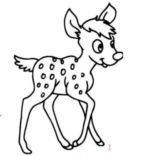 教你一步一步画梅花鹿简笔画步骤教程简单