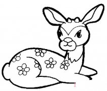 教你怎么画梅花鹿简笔画教程简单