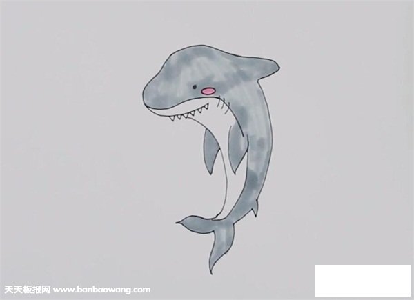 公牛鲨简笔画