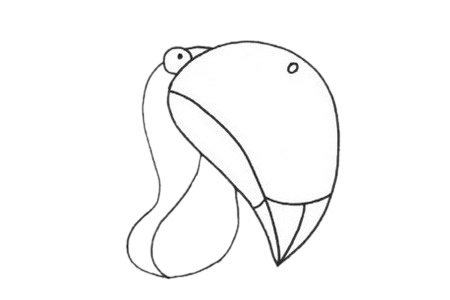 巨嘴鸟简笔画图片