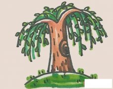 简单漂亮柳树简笔画画法教程彩色一步一步绘画