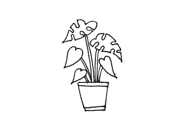 龟背竹盆栽简笔画