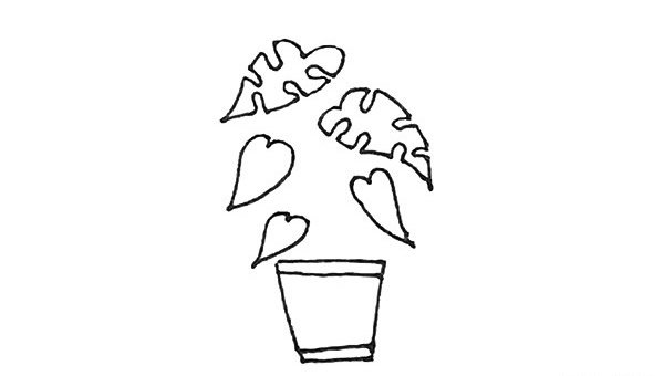 龟背竹盆栽简笔画