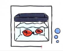 鱼缸简笔画怎么画简单好看教程