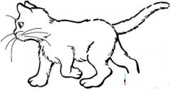 侧面行走的猫简笔画