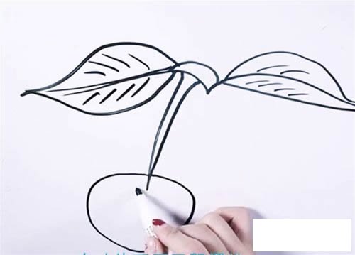 樱桃简笔画图片