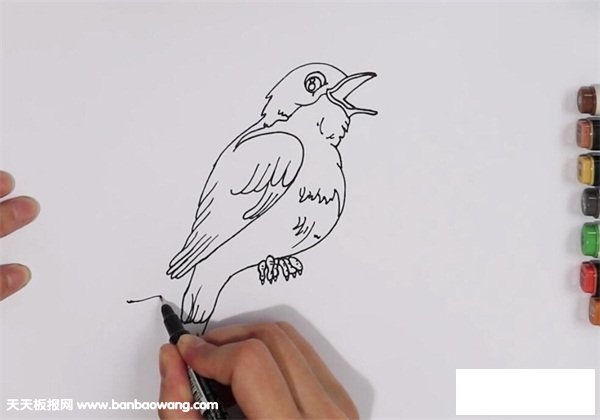 夜莺简笔画