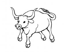 老黄牛简笔画图片