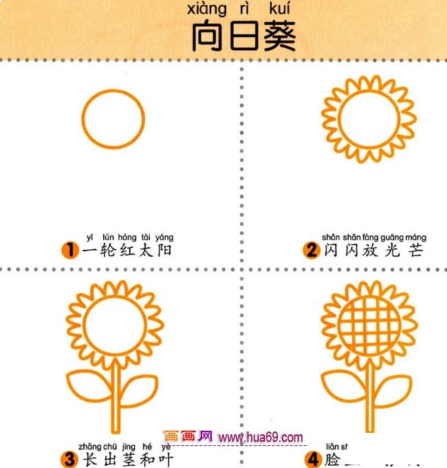 儿童简笔画：四步画向日葵图解教程