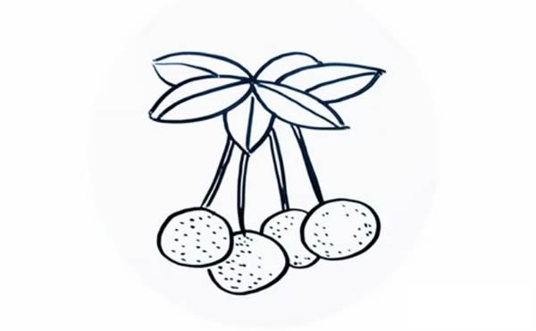 桂圆简笔画步骤图