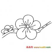 盛开的梅花简笔画