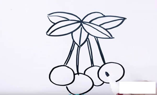 桂圆简笔画步骤图